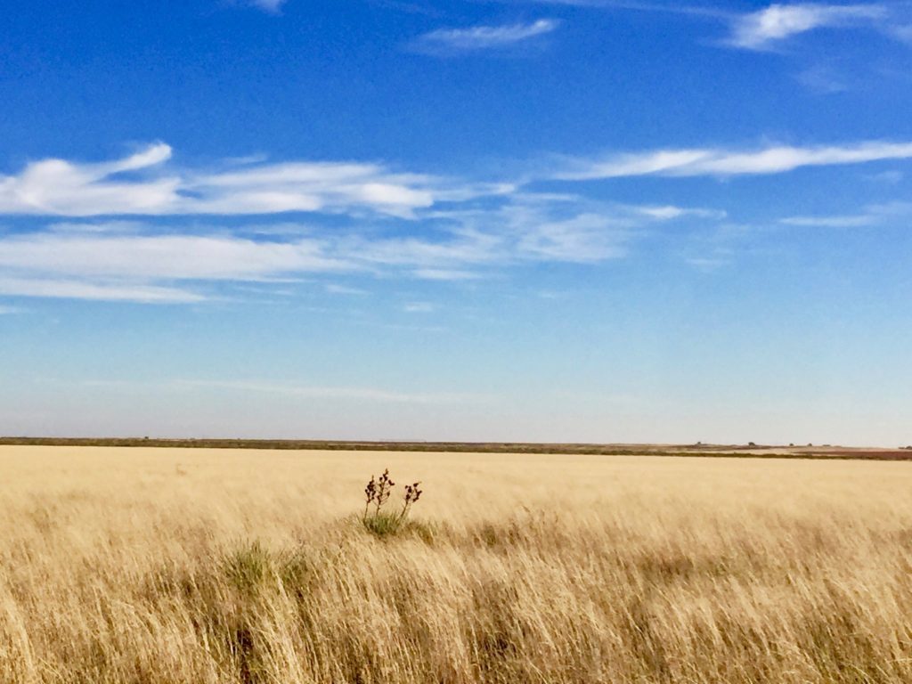 Llano Estacado